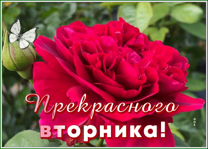 Postcard 1
