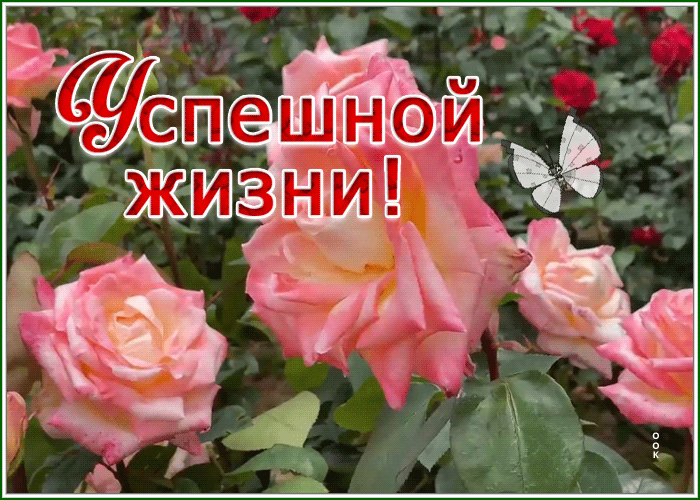 Postcard 1