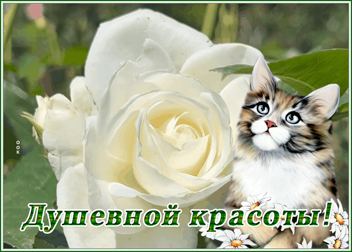 Postcard 1
