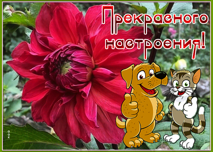 Postcard 1