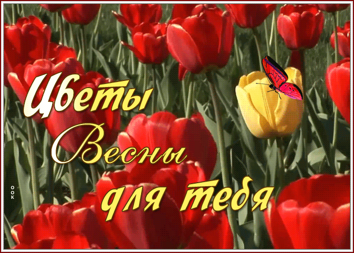 Picture анимационная открытка цветы весны для тебя