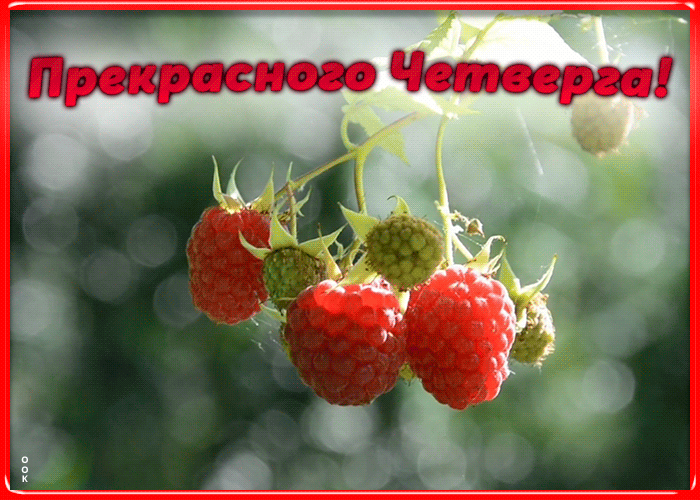 Картинка анимационная картинка с четвергом