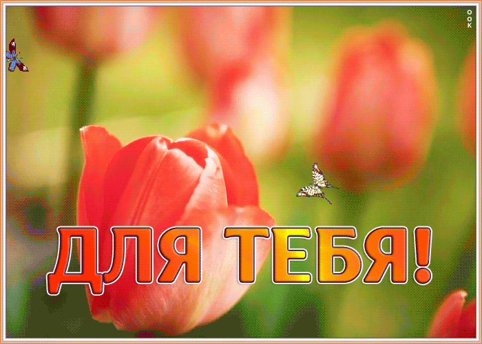 Открытка анимационная  картинка с цветами