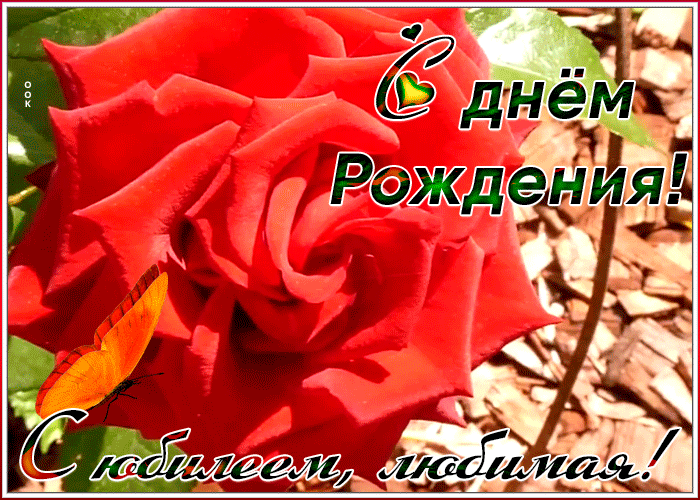 Открытка анимационная картинка с юбилеем жене