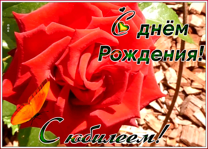 Картинка анимационная картинка с юбилеем женщине