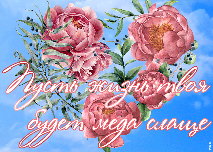 Открытка анимационная открытка с пионами