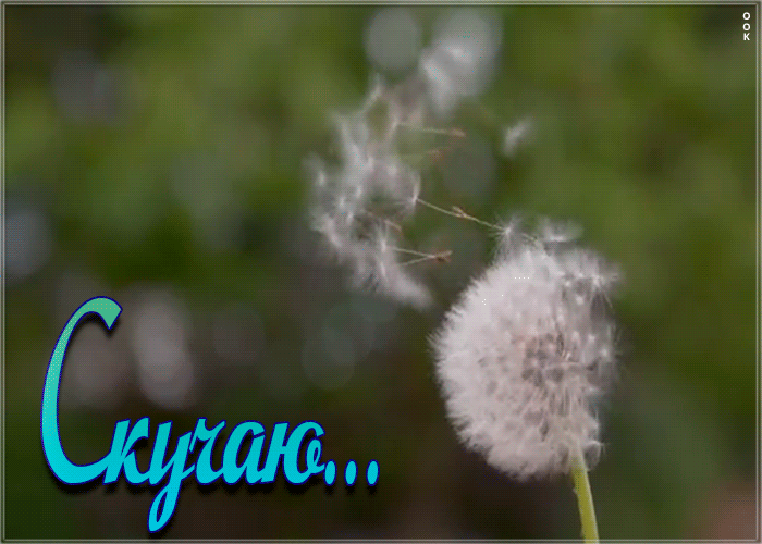 Открытка анимационная открытка скучаю
