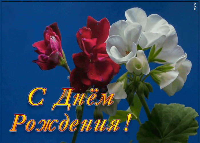 Открытка анимационное поздравление женщине от души