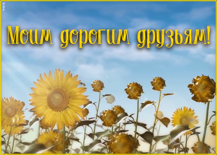 Картинка анимация для друзей