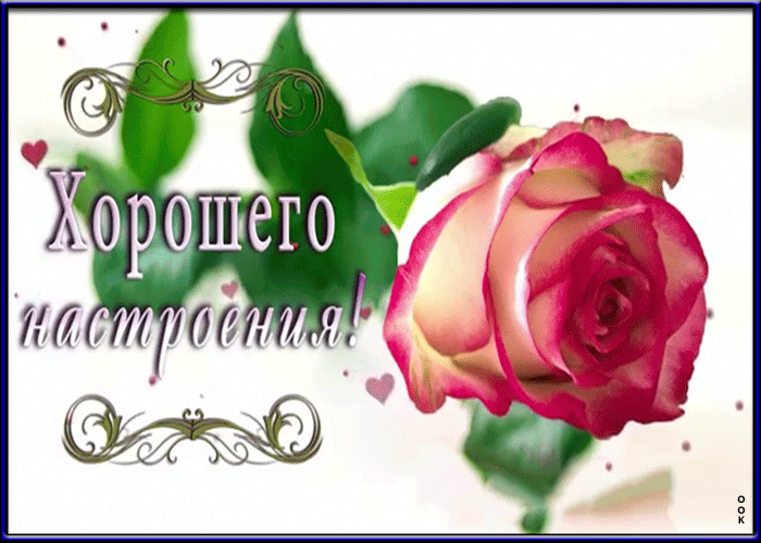 Картинка анимация хорошего настроения с розой