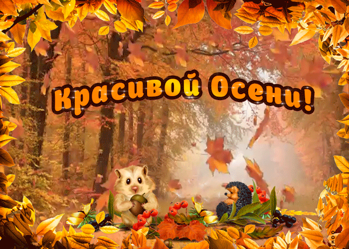 Открытка анимация красивой осени