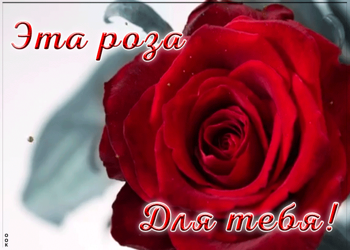 Открытка анимация с розой для тебя