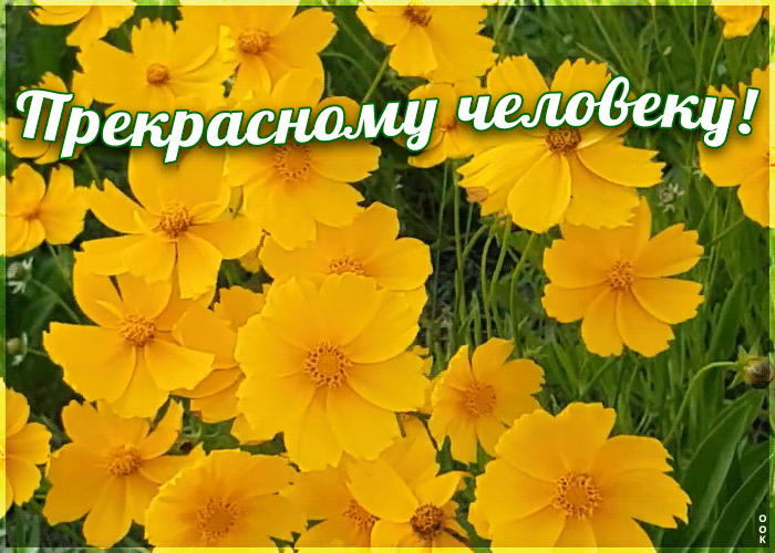 Картинка анимация с цветами прекрасному человеку
