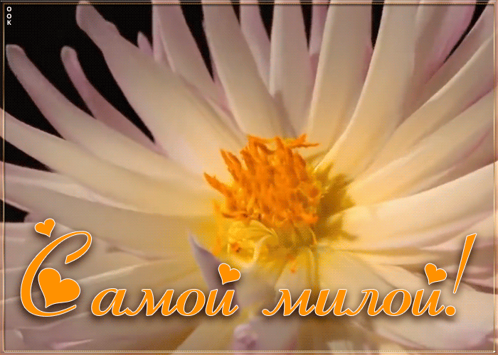 Картинка анимация самой милой