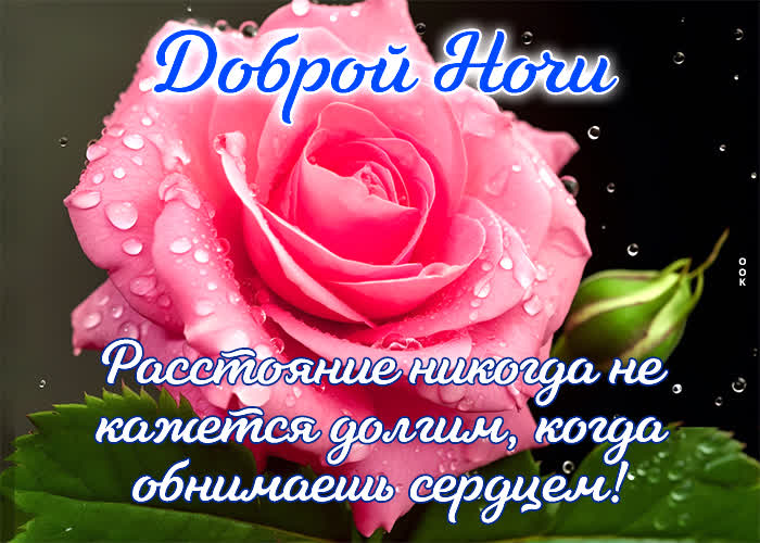 Postcard ароматная открытка желает спокойной ночи