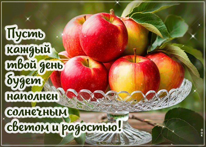 Postcard атмосферная гиф-открытка, пусть каждый день будет наполнен радостью