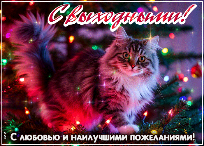 Postcard атмосферная открытка, прекрасных выходных!