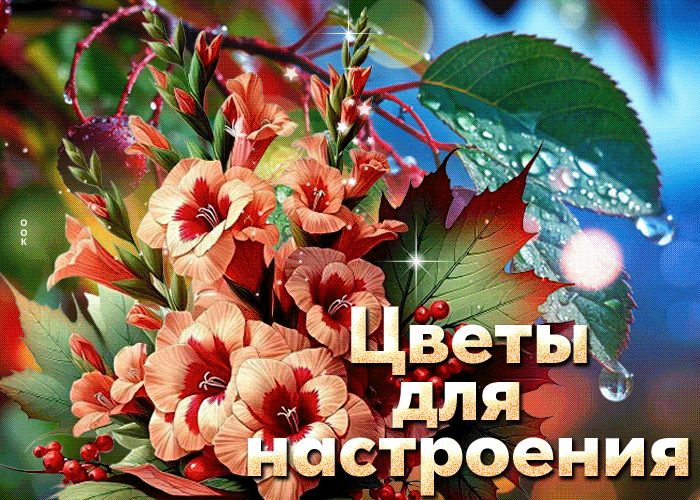 Picture атмосферная открытка, с цветами для души