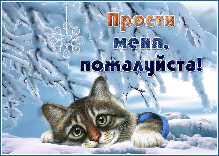 Postcard берущая за душу открытка прости меня