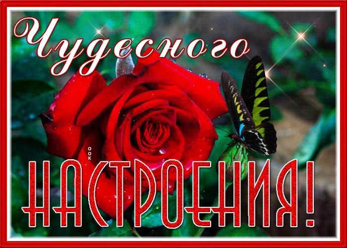 Открытка блестящая открытка  чудесного настроения с бабочкой