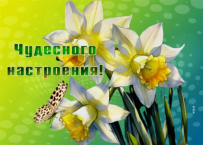 Postcard чарующая гиф-открытка, чудесного весеннего тебе настроения