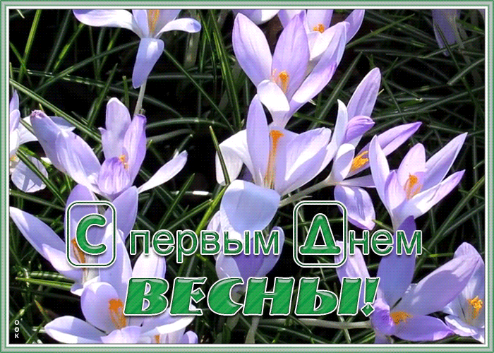 Картинка чудесная открытка с первым днем весны