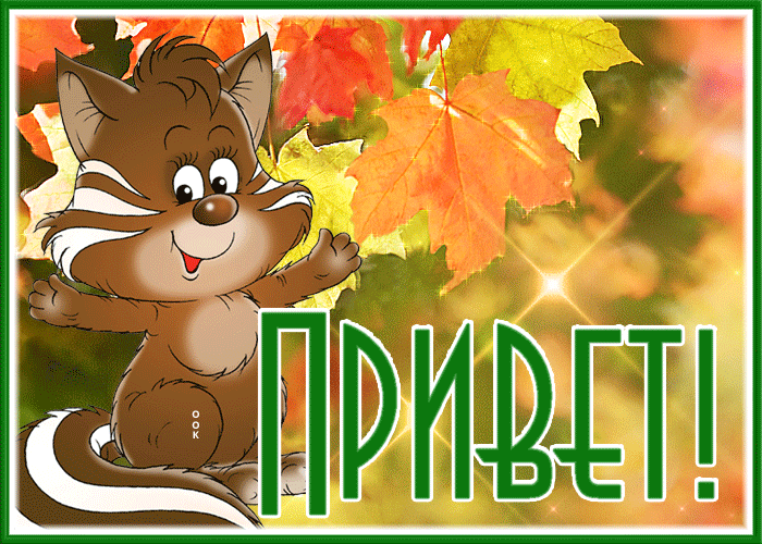 Picture чудесная картинка привет с енотом
