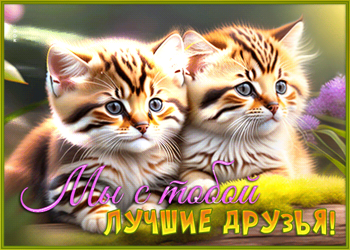 Postcard чудесная открытка мы с тобой лучшие друзья