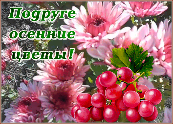 Postcard чудесная открытка подруге осенние цветы