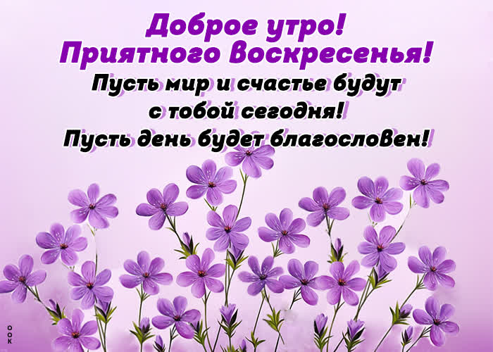 Postcard чудесная открытка с приятным воскресным утром