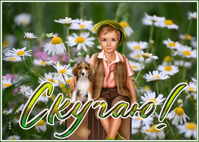 Postcard чудесная открытка скучаю с ромашками