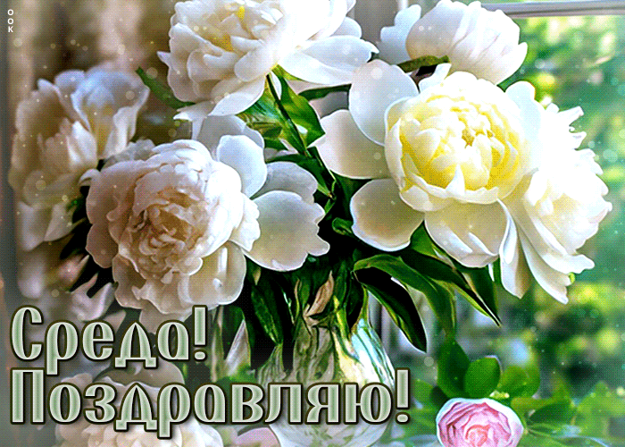 Postcard цветастая гиф-открытка, поздравляю со средой