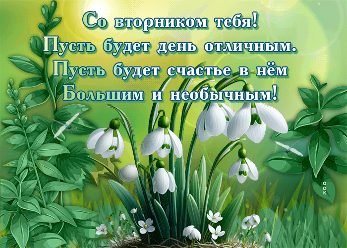 Postcard цветущая гиф-открытка, со вторником тебя, пусть будет он отличным