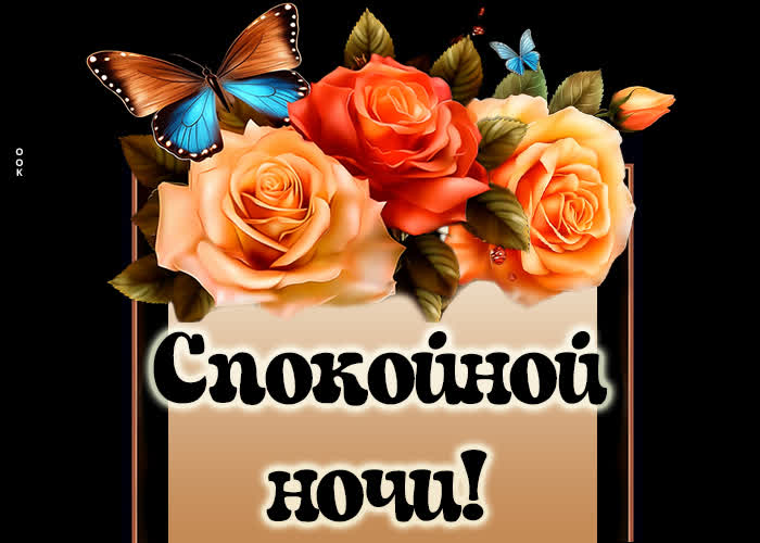 Postcard дивная открытка спокойной ночи с розами