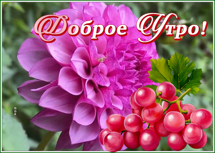 Picture доброе утро