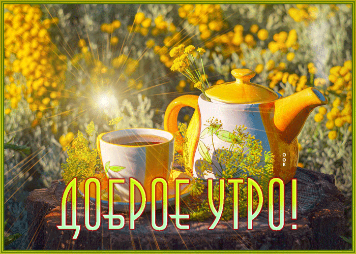Postcard доброе утро
