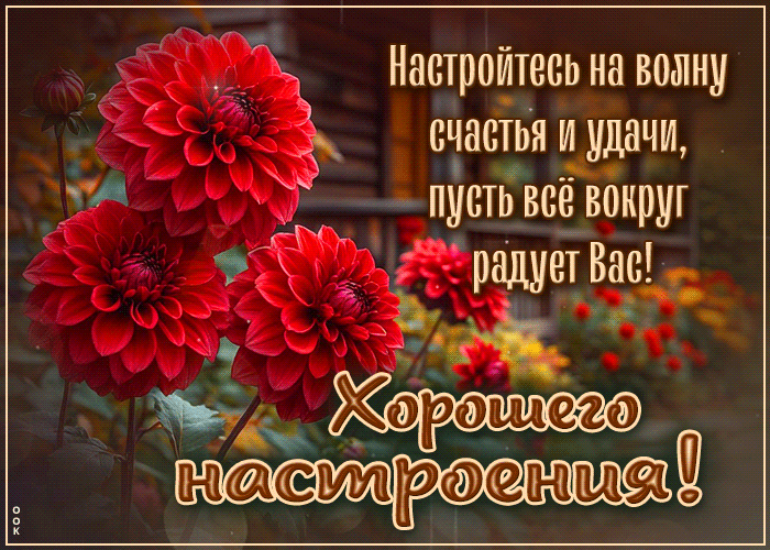 Postcard драгоценная гиф-открытка, настройся на хорошую волну