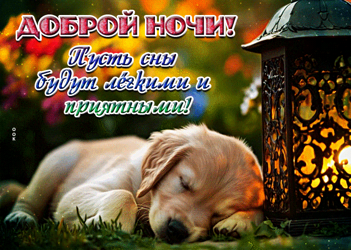 Picture дружелюбная гиф-открытка, приятной и доброй ночи