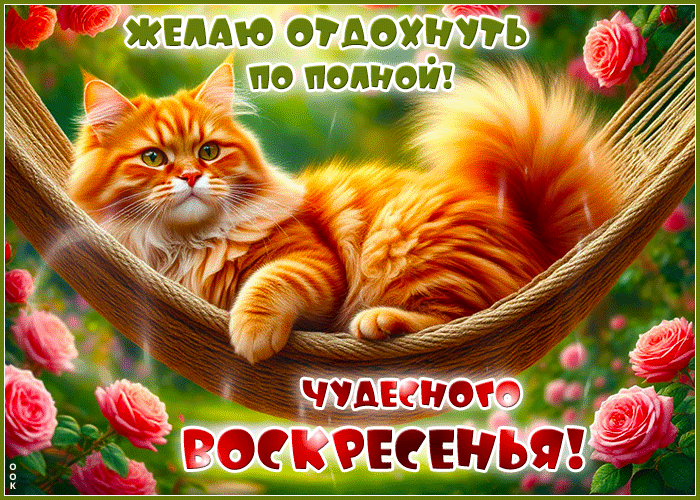 Postcard душевная гиф-открытка, чудесного воскресенья