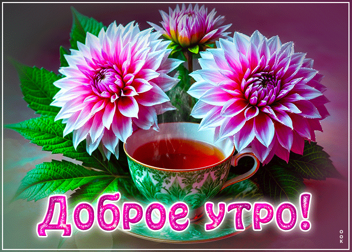 Postcard душевная гиф-открытка, доброе-бодрое утро