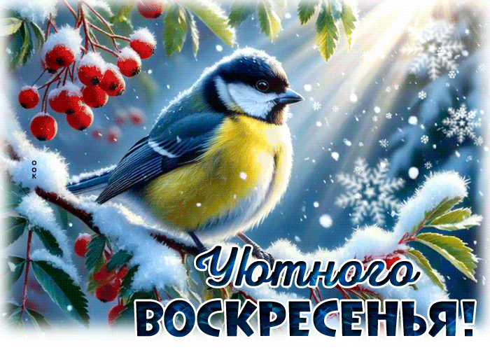 Picture душевная открытка, уютного воскресенья!