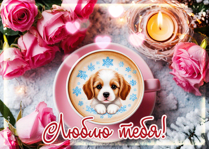 Picture душевная открытка, я тебя люблю больше жизни