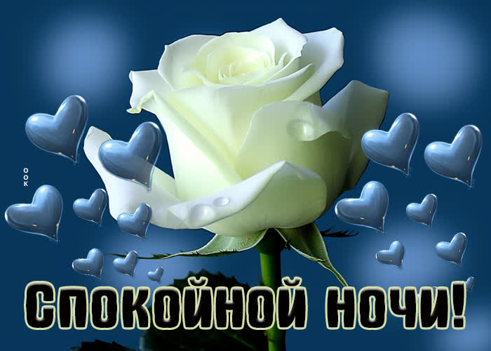 Picture эффектная картинка спокойной ночи с белой розой