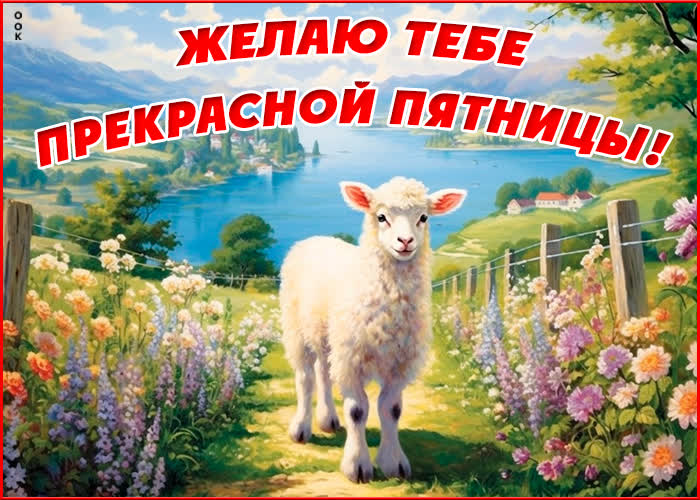 Postcard эффектная открытка желаю тебе прекрасной пятницы!