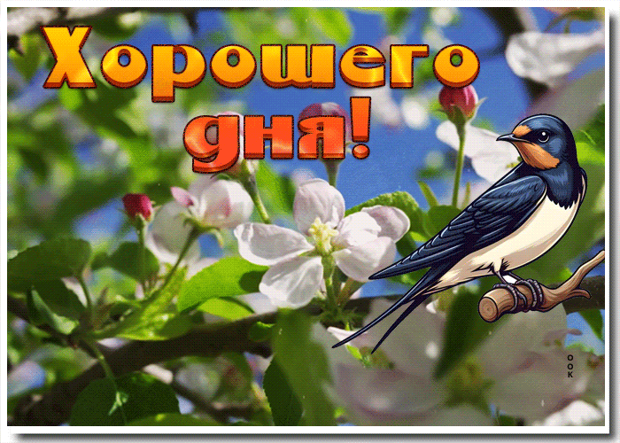 Picture элегантная гиф-открытка желает хорошего дня