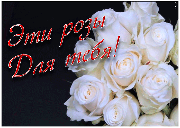 Открытка эти розы для тебя