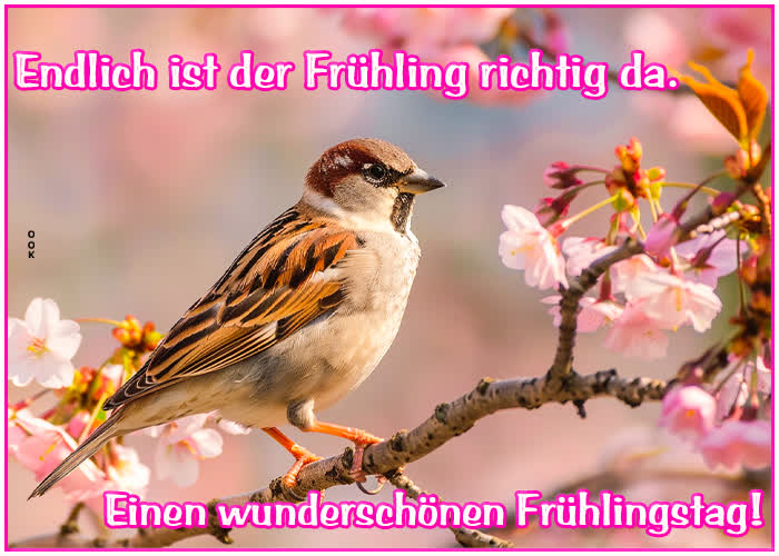 Picture frühlingsanfang