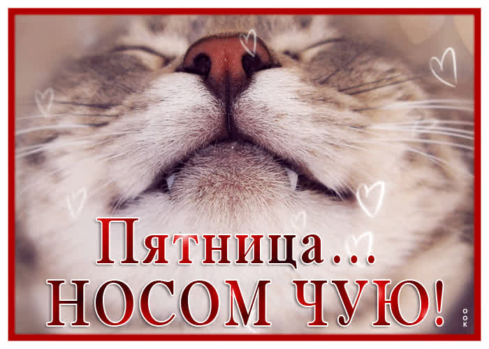 Гармоничная гиф-открытка, носом чую - пятница | Открытки Онлайн