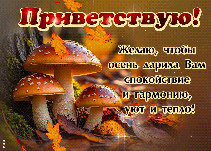 Picture глубокая гиф-открытка, приветствую, счастья и гармонии