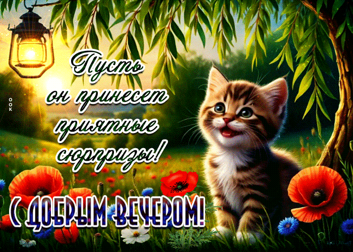 Postcard глубокая гиф-открытка, пусть вечер принесет сюрпризы